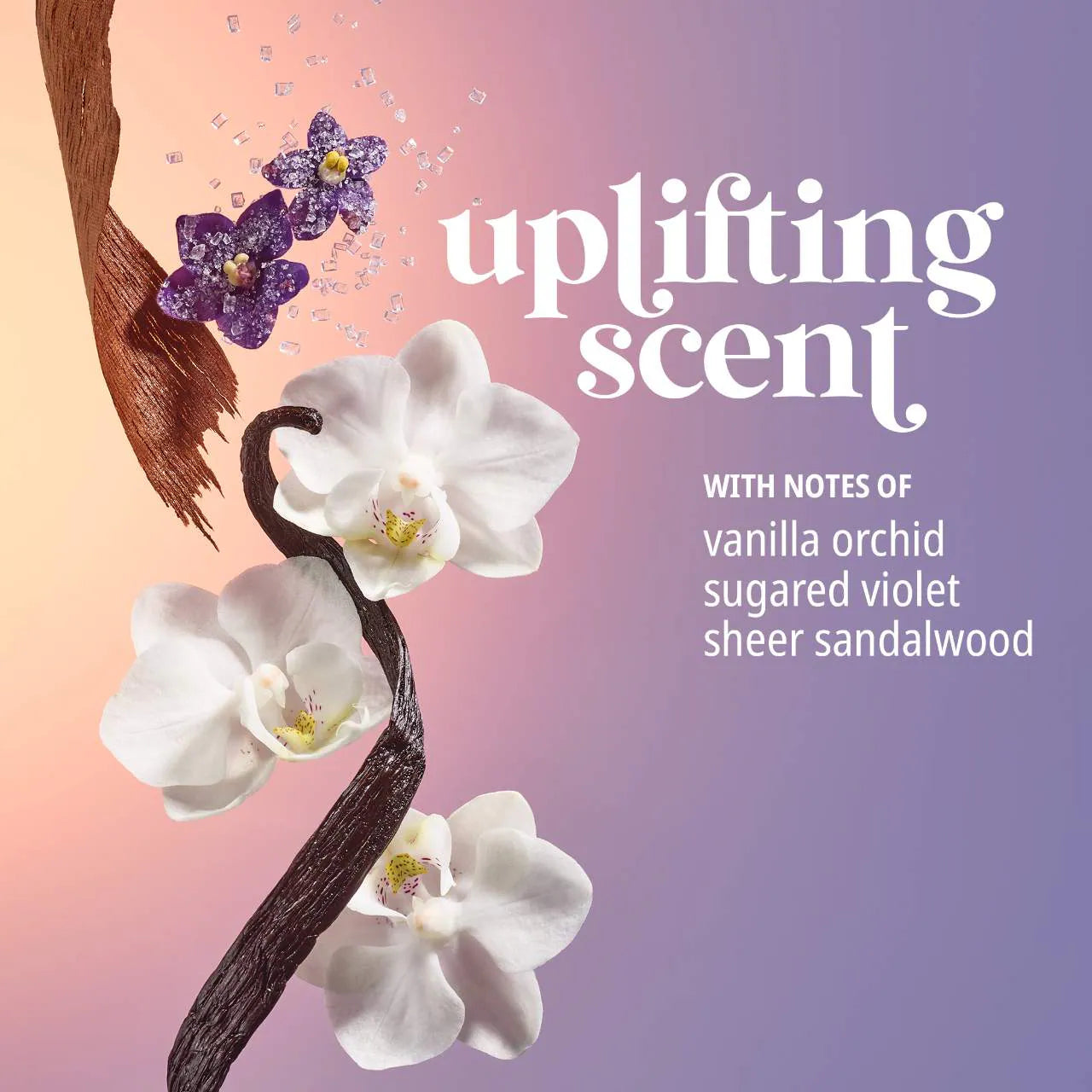 Set Skincare y Fragancia - Delícia Drench Jet Set