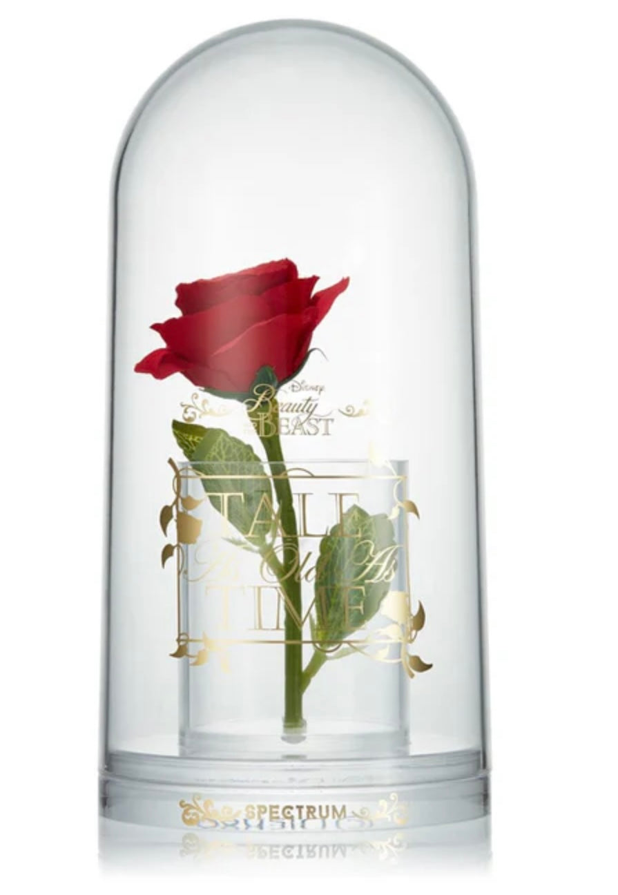 Beauty and the Beast Rose Cloche Storage - By Mary Spahn