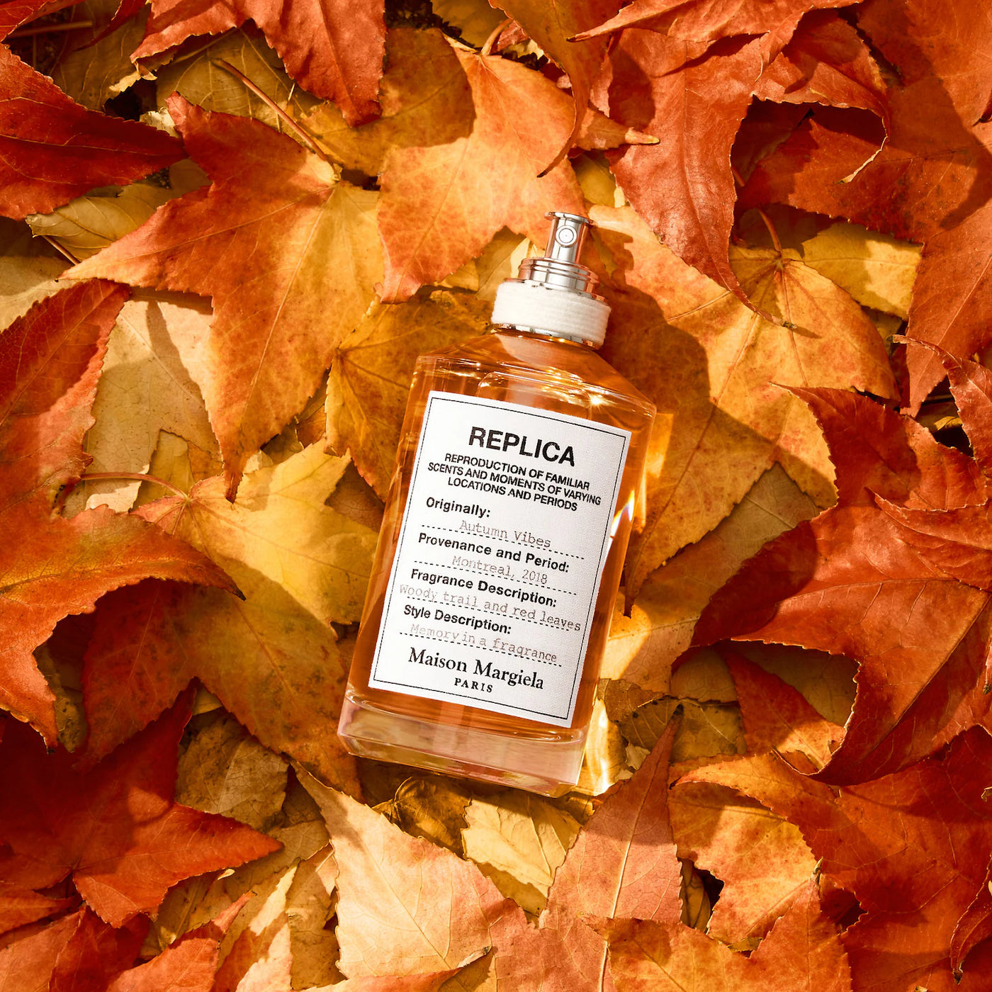 Autumn Vibes - EDT - Decant 10ml